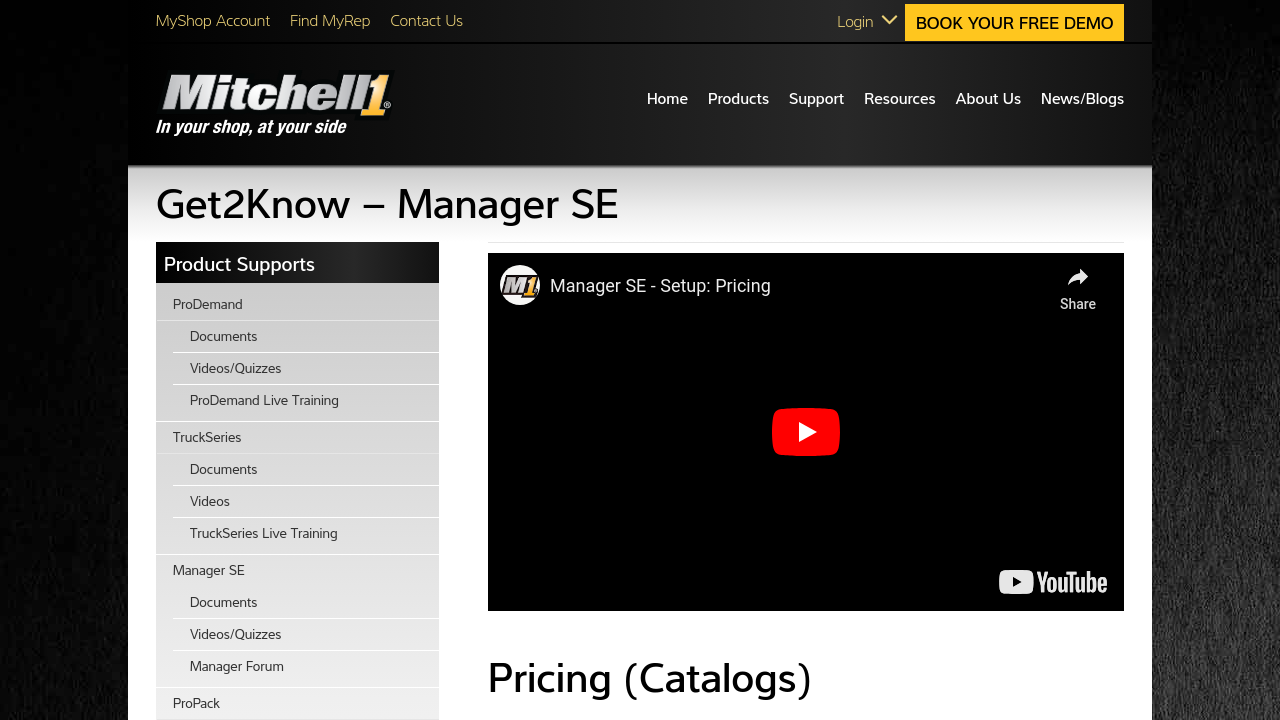 Manager SE